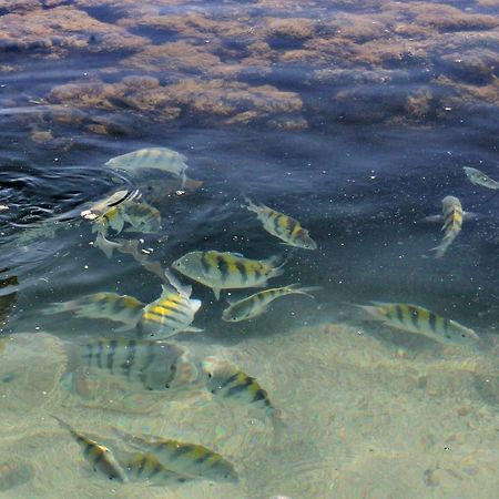Pousada Casanossa Boipeba Island Eksteriør bilde